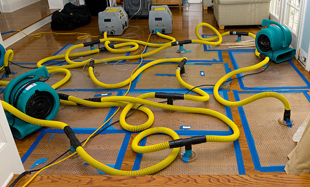 Professional Water Damage Repair technician working in Put In Bay, OH
